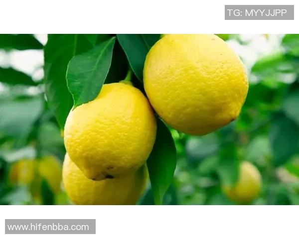 足球巨星力荐帮润喉片 助你舒缓喉咙不适恢复最佳状态